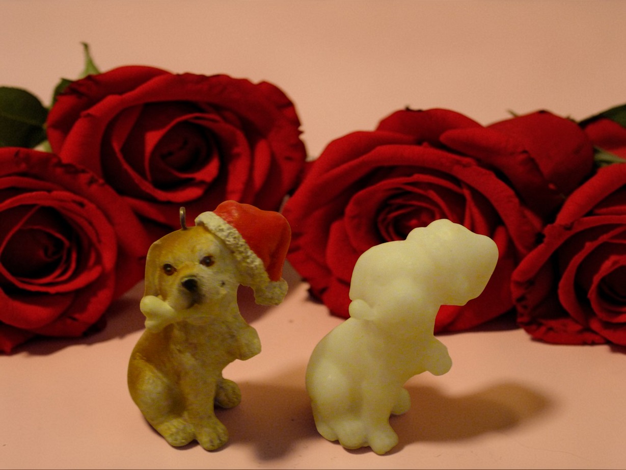 (image for) hondje met kerstmuts (eigen creatie)